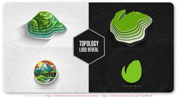 Topology Logotype Animation 52360134 Videohive